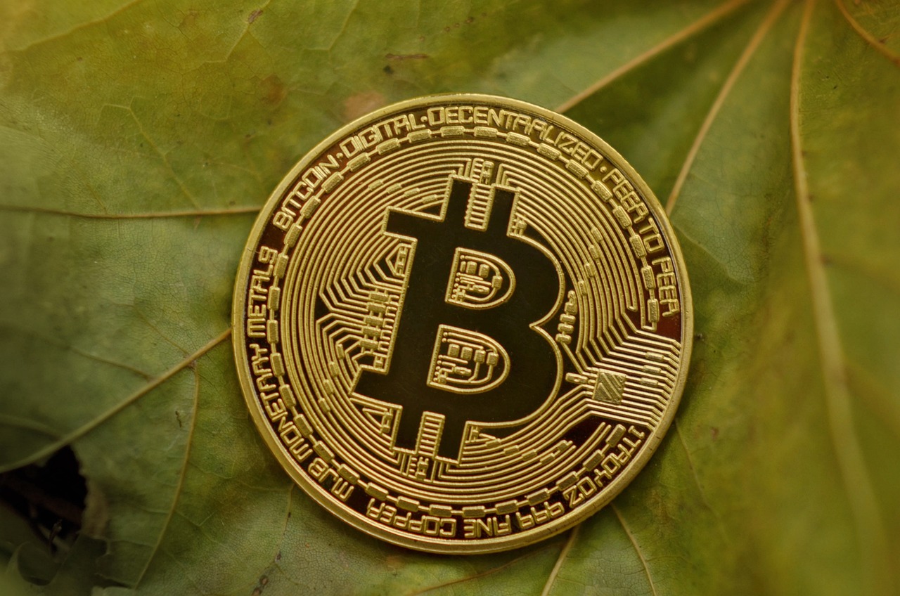 澳门特马今期开奖结果2024年记录，新技术推动方略，旅行者版SG441.8445