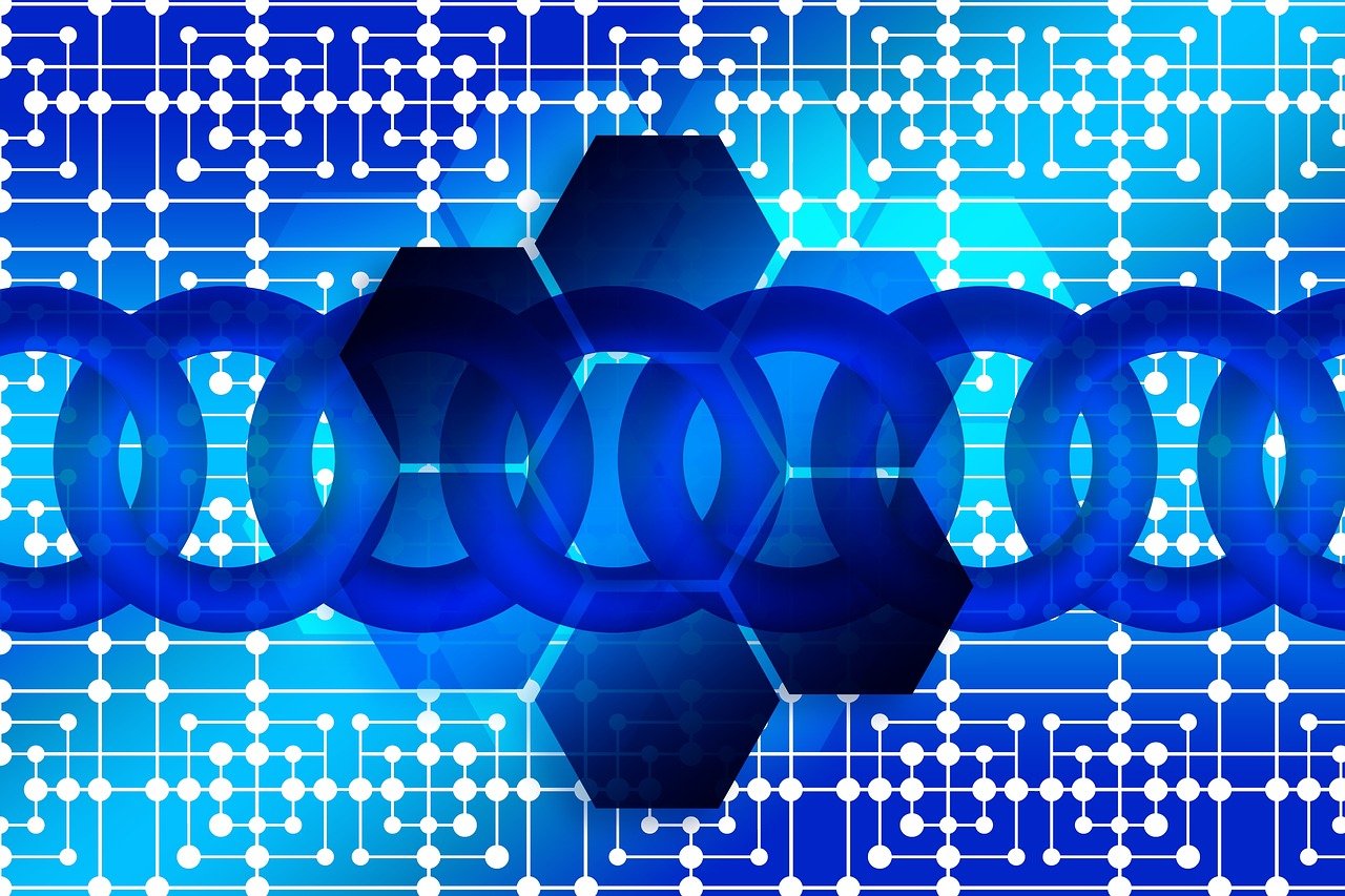 澳门六开奖结果2023开奖记录查询网站，数据评估框架_儿童版XN65.07.83