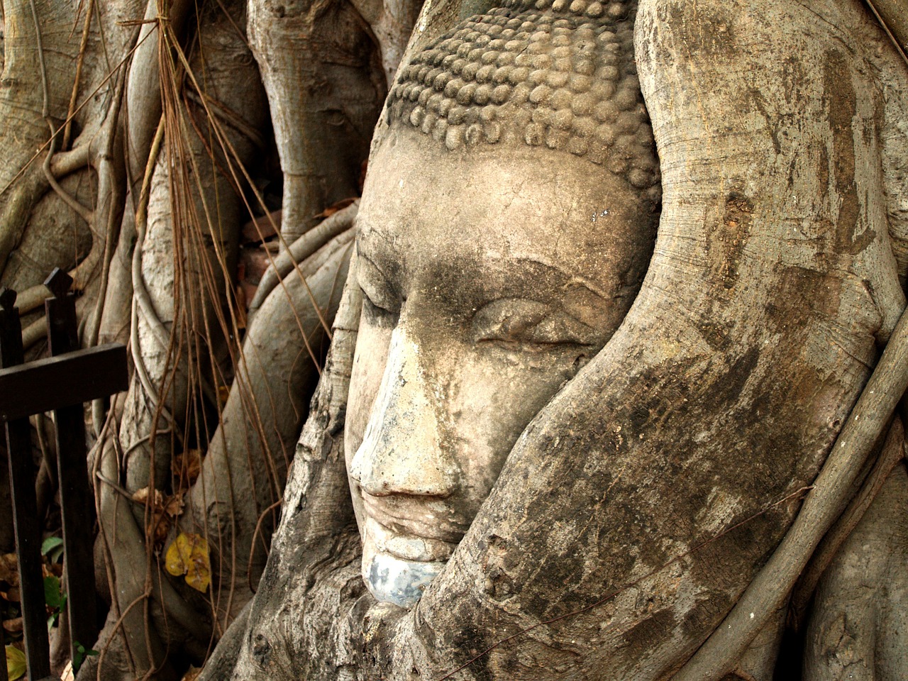 最新古装游戏大全，奇幻古代世界探险之旅