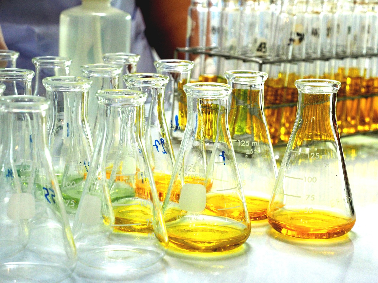豆芽最新技术，生长革新与种植管理研究