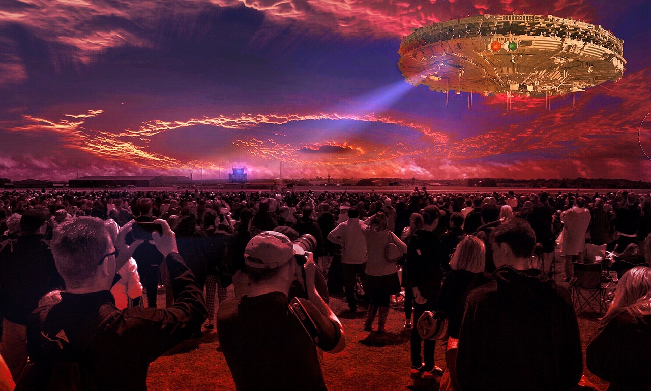 王者最新小说寻飞之旅，奇幻世界的探索之旅