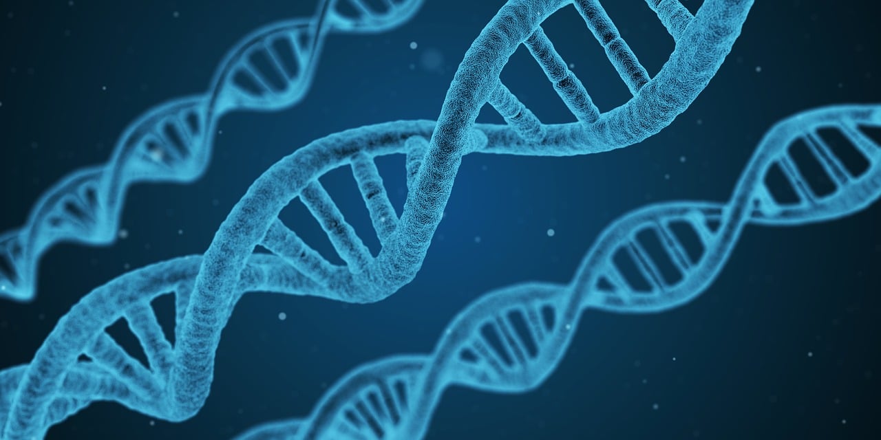 澳门天天彩每期自动更新大全,化学工程与技术_可信版本72.85.76