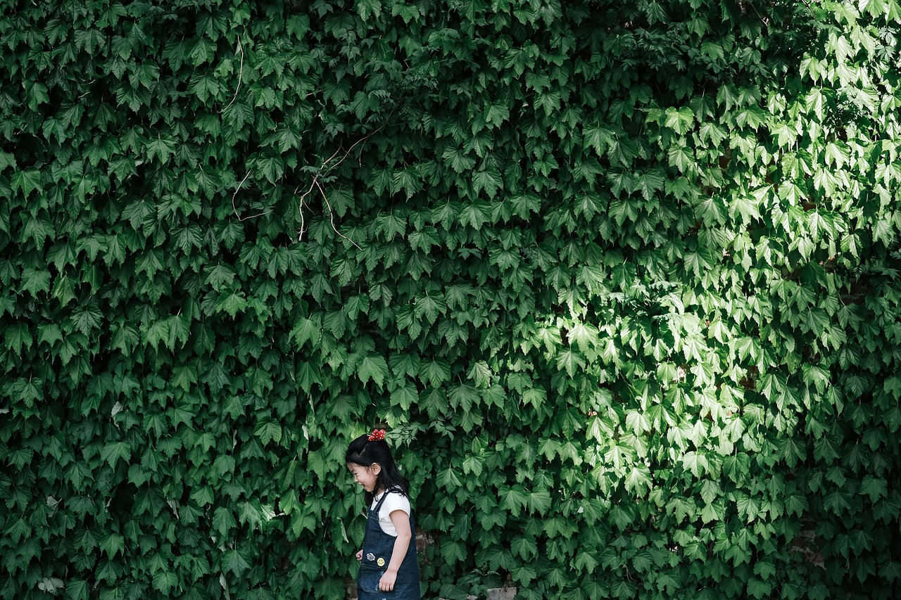 失联北大女生最新情况分析与探讨，最新动态揭示真相与探讨未来可能的发展方向