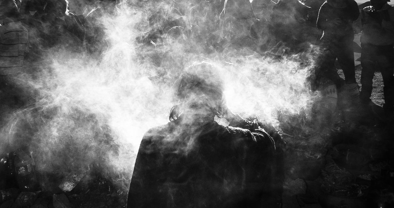 花门太子奇幻冒险之旅的最新章节探索