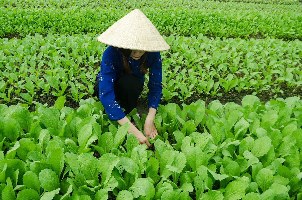 清泉坝最新动态，发展与变化的深度解析
