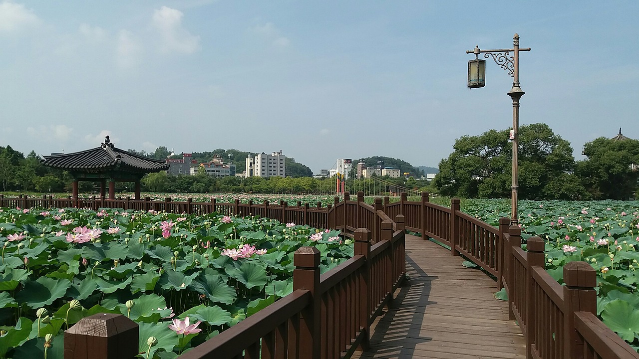 菏泽体育公园最新动态，打造城市运动新地标