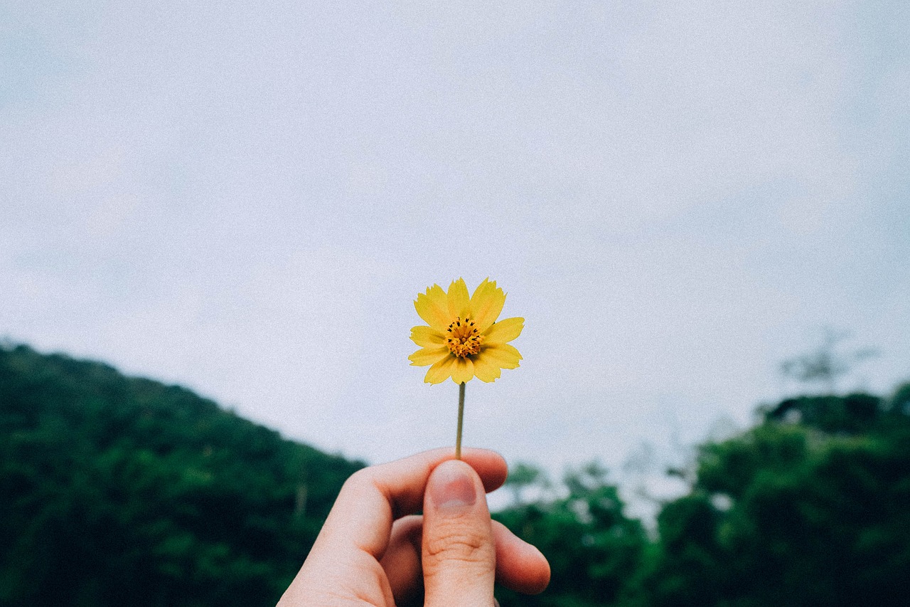 自然、情感与生活，诗意表达的最新美文欣赏
